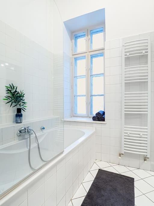 Apartment Lazar - Basilica Downtown *